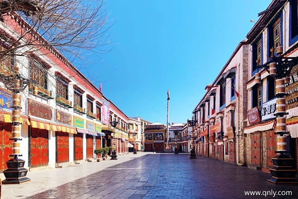 去西藏旅游花費