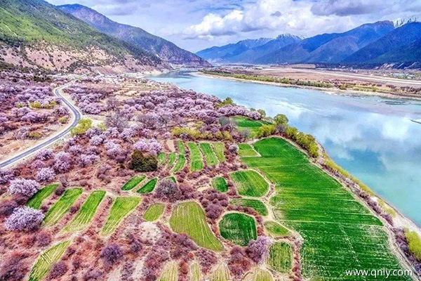 西藏林芝幾月能看到桃花