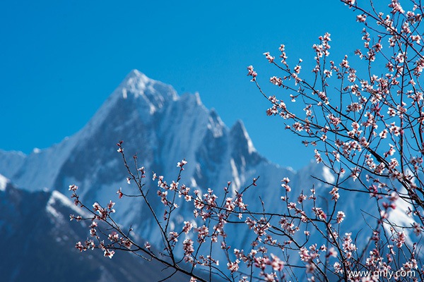 去西藏旅游大概多少錢