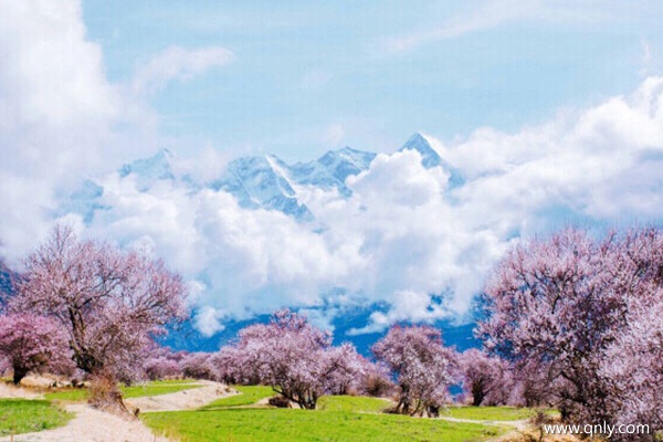 西藏旅行團(tuán)旅游多少錢