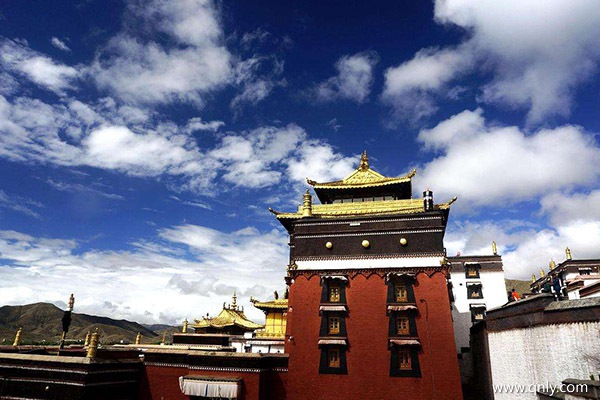 各地去西藏旅游團