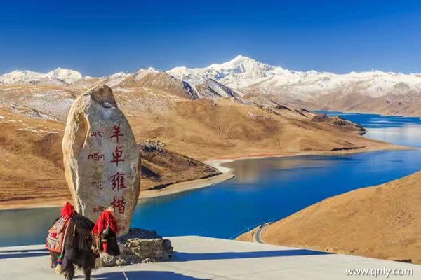 去西藏玩一趟大概多少錢