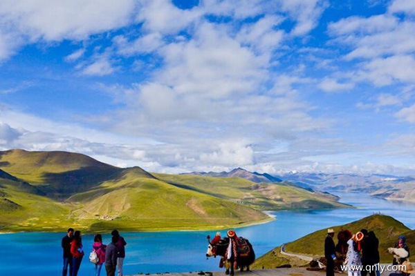 去西藏旅游要多少錢