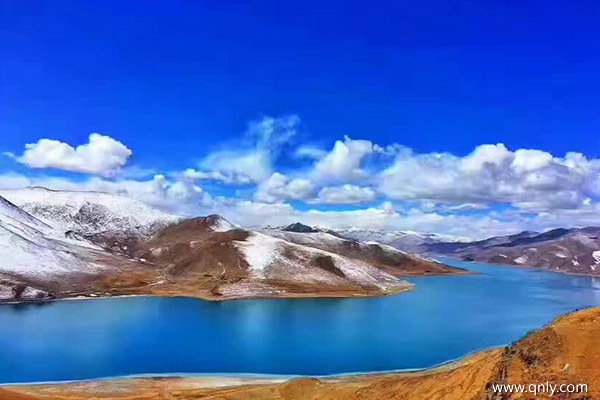 去西藏報團多少錢