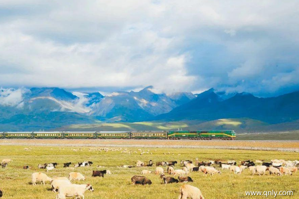 西藏旅游團價格多少
