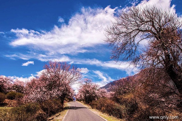 旅游去西藏幾月份最好
