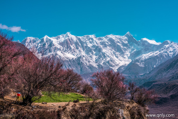 去西藏旅游多少錢(qián)