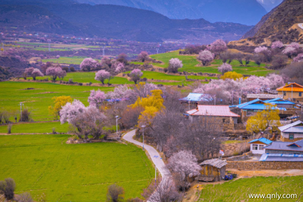 什么適合去林芝 好