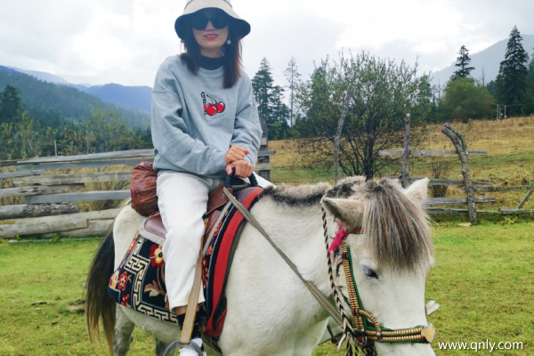 貴陽去西藏旅游多少錢