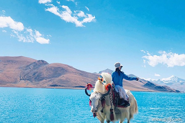 坐火車去西藏旅游費(fèi)用是多少