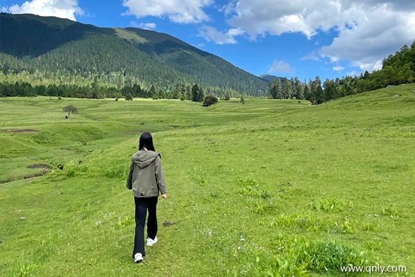西藏旅游必去景點(diǎn)有哪些