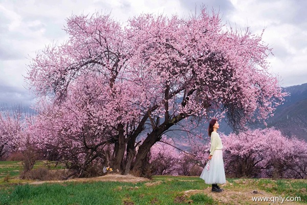 一家人在3月去西藏旅游都需要準(zhǔn)備什么