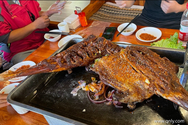 跟團去西藏玩要多少錢