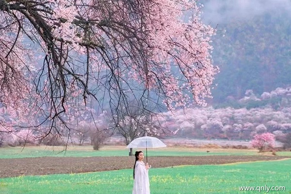林芝旅游團(tuán)報(bào)價(jià)五日游多少錢