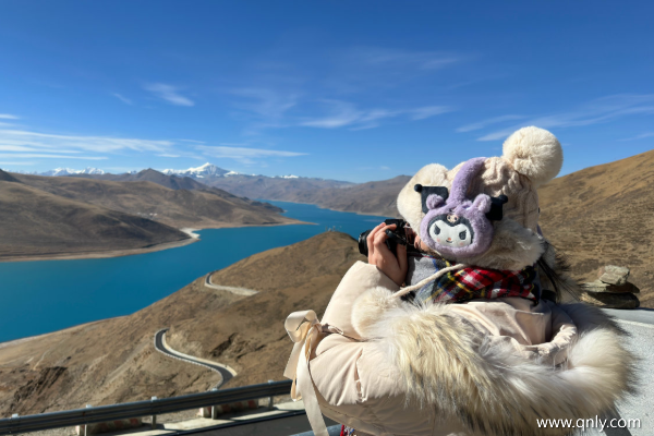 一家人到西藏旅游一趟需要多少錢