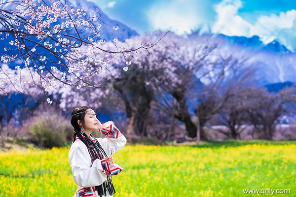 去拉薩一個人得花多少錢