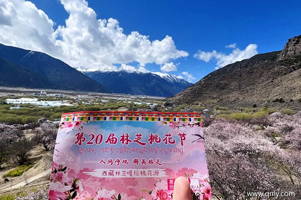 西藏旅游得多少錢