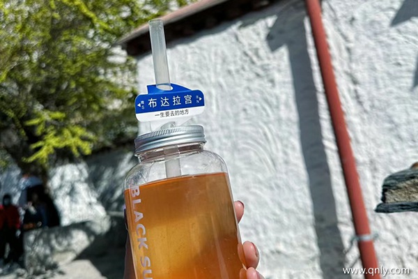 三個(gè)人去拉薩旅游大概需要多少錢