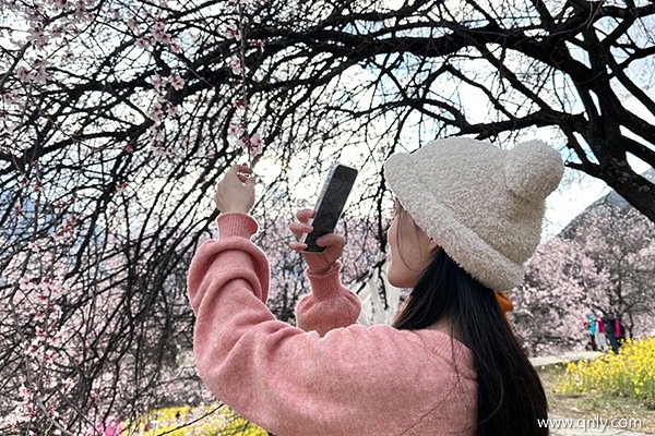 西藏旅游大概花費(fèi)多少錢(qián)