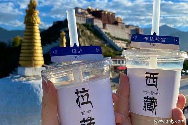 跟團去西藏費用多少錢