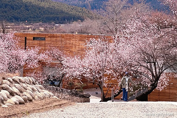 4月去西藏旅游合適嗎