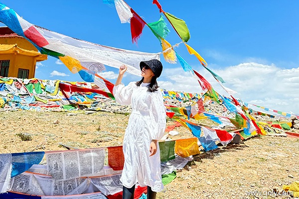 跟團去拉薩旅游多少錢