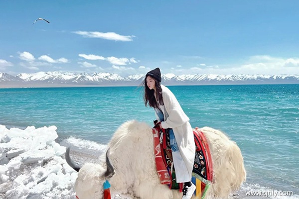 去西藏旅游大約多少錢的費用啊