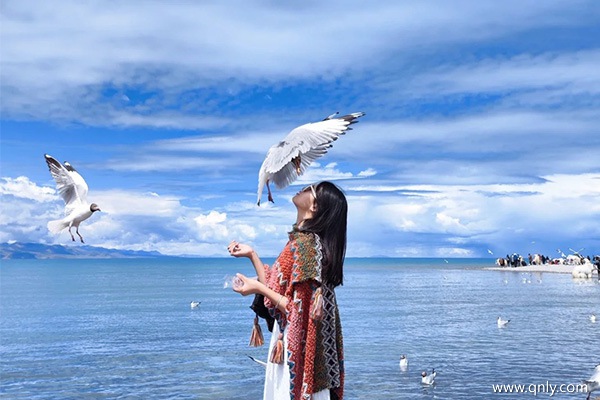 一個人去西藏旅游大概多少錢呢視頻