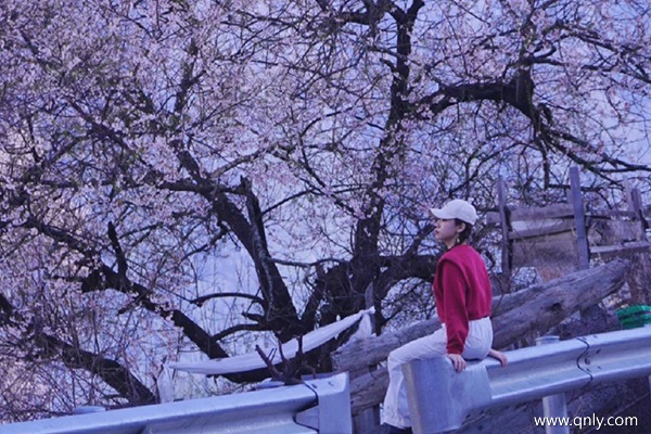 西藏7天旅游費(fèi)用大概多少