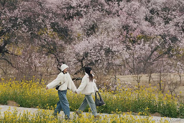 3月去西藏旅游都需要準(zhǔn)備什么