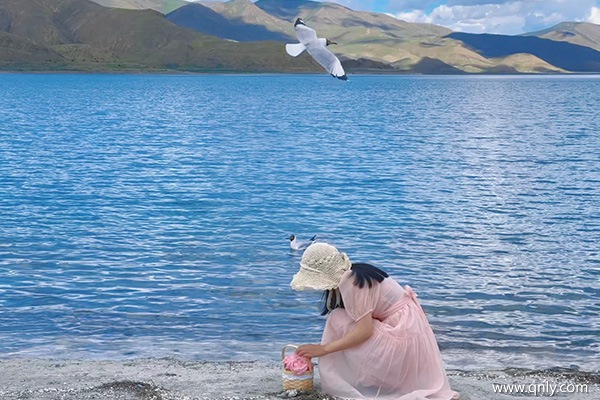 西藏旅游大概多少錢一周