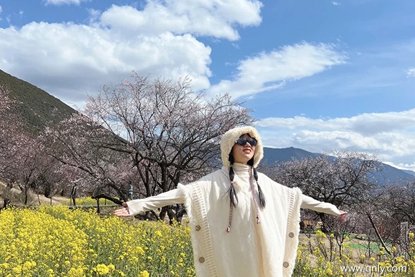 去一次西藏要花多少錢(qián)呢