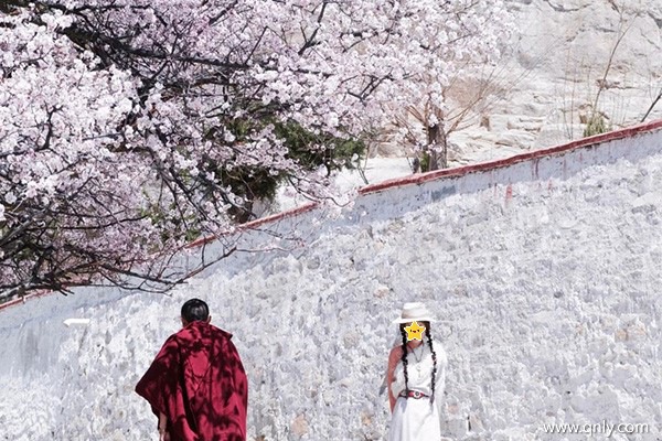 蕪湖到西藏跟團7日游報價多少
