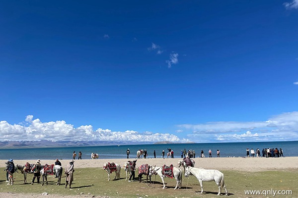 綿陽到西藏旅游7天多少錢